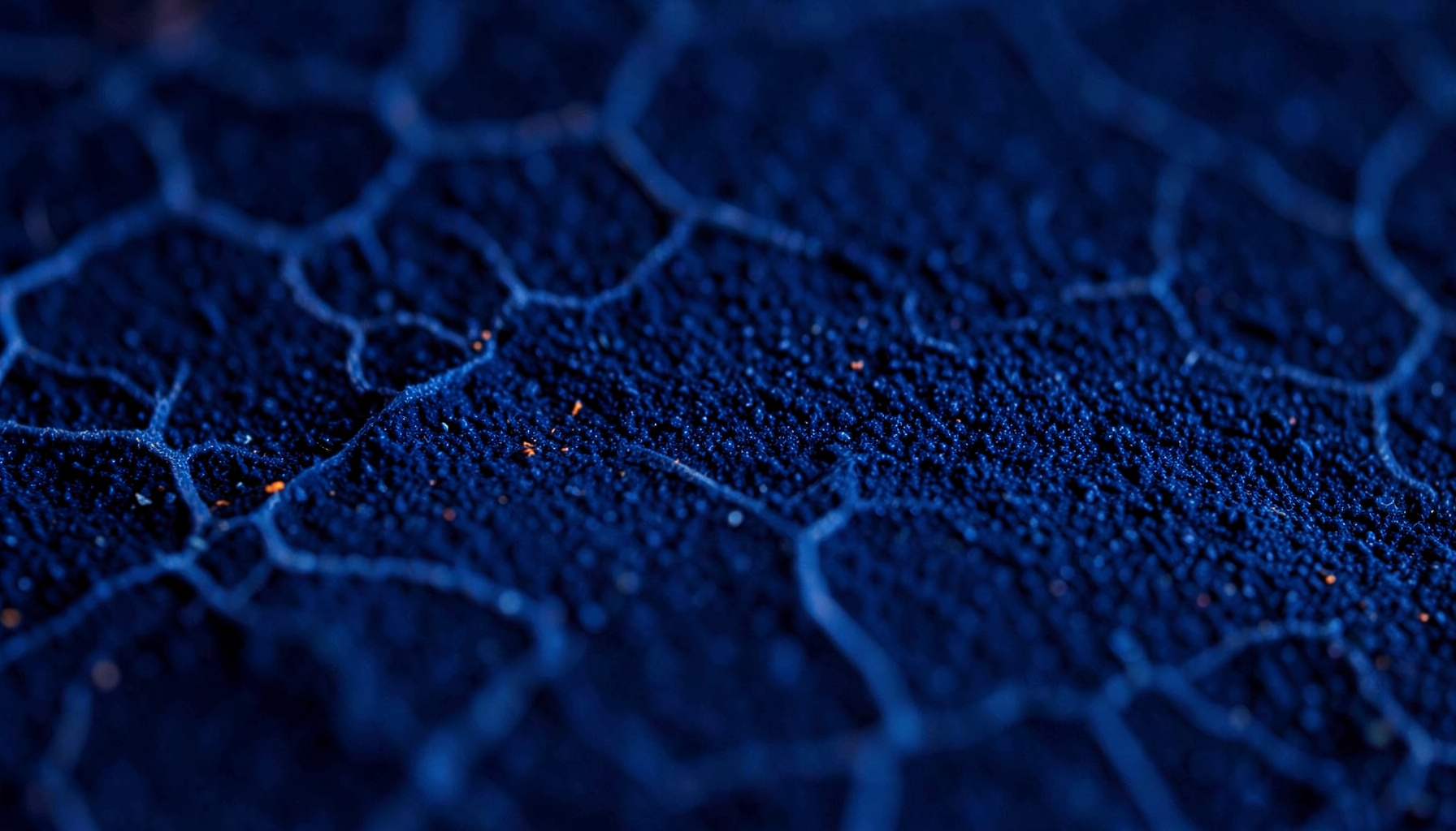 Deep navy blue abstract texture with faint organic cellular patterns, evoking scientific depth and precision