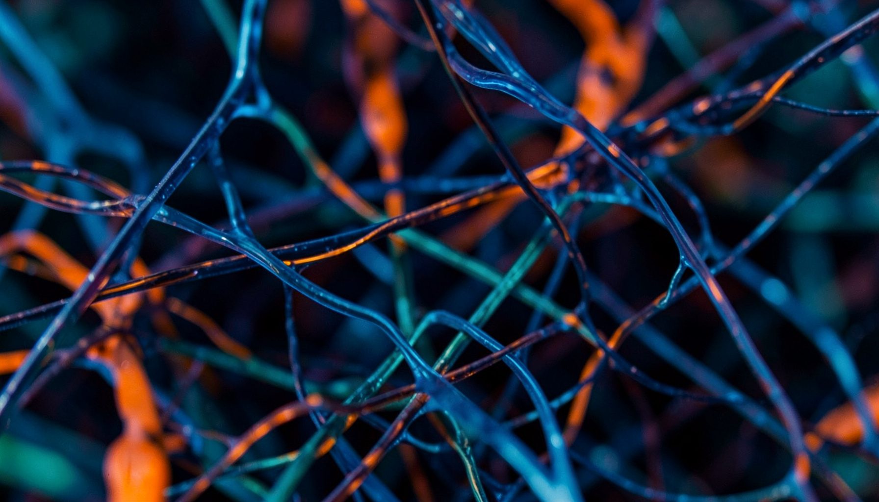 Abstract close-up of interconnected translucent fibers in deep navy and teal tones, suggesting biological networks and collaborative research