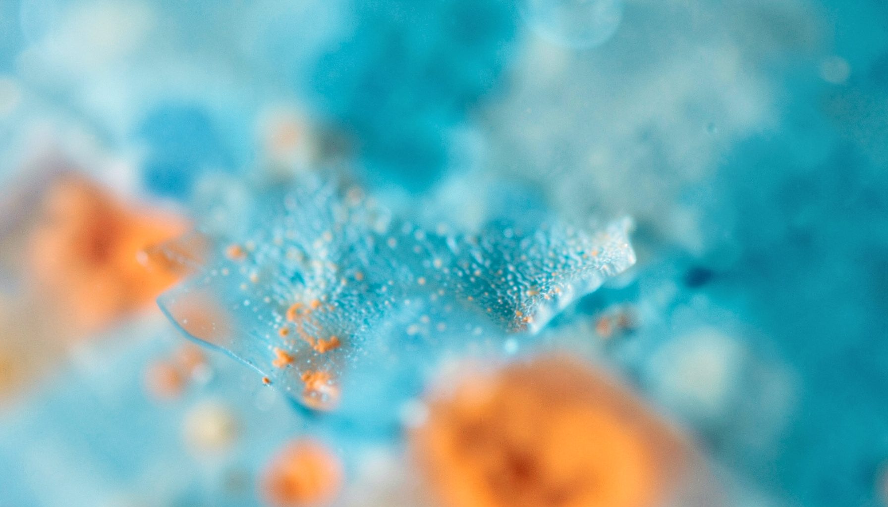 Abstract close-up of a translucent laboratory surface with soft blue and teal tones, suggesting molecular or cellular research