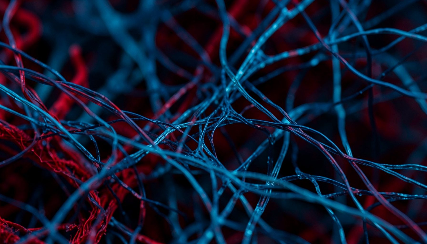 Abstract close-up of interconnected translucent fibers in deep navy and teal tones, suggesting biological networks and cellular complexity